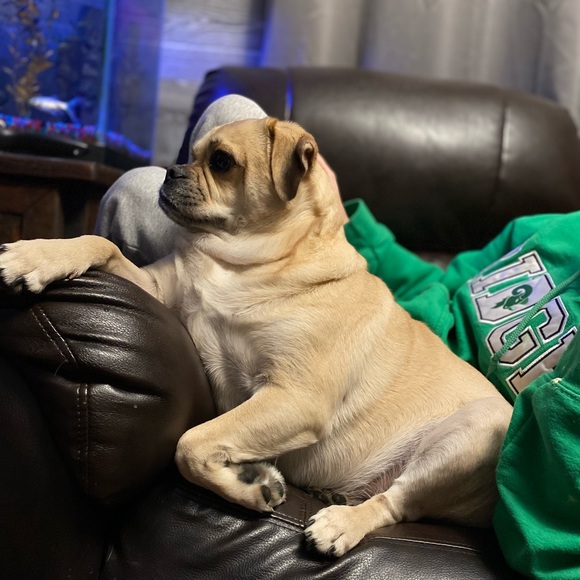 Meet your Posher, Jaelyn - Picture 1 of 1